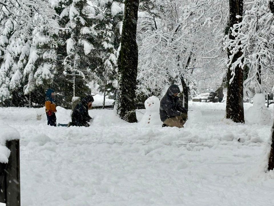 Sneg na Tašmajdanu (2).jpg