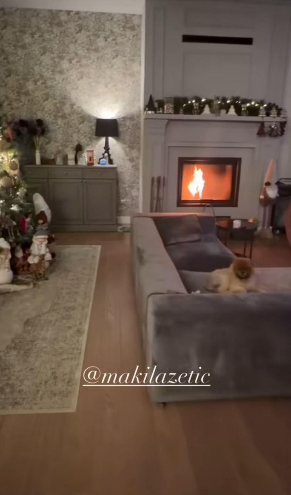 Sonja Lazetić kuća na Avali za praznike