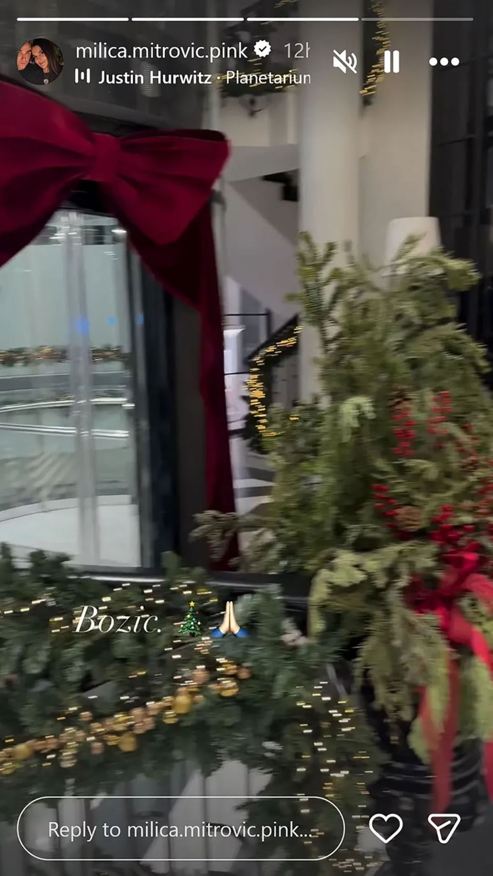 Milica Mitrović (1).jpg