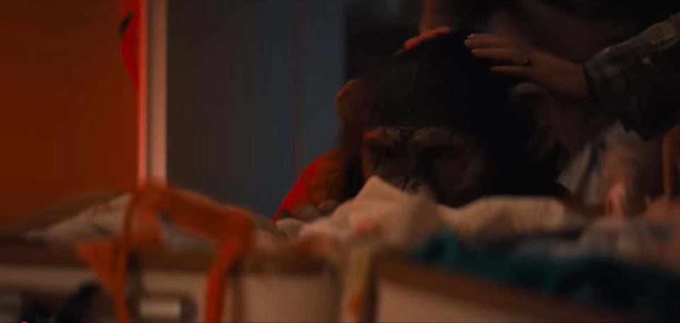 horor film Primat (1).jpg