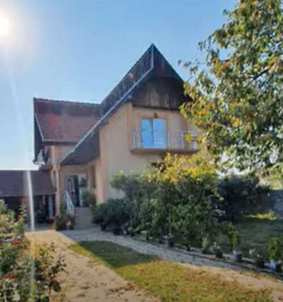 aleksandra mladenović