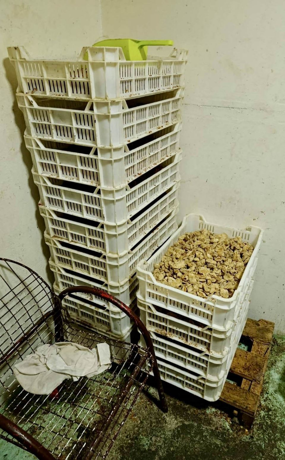 Proizvodnja i stavljanje u promet škodljivih proizvoda