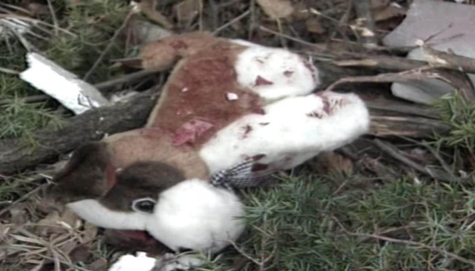 nesreća u Crnoj Gori (2).jpg