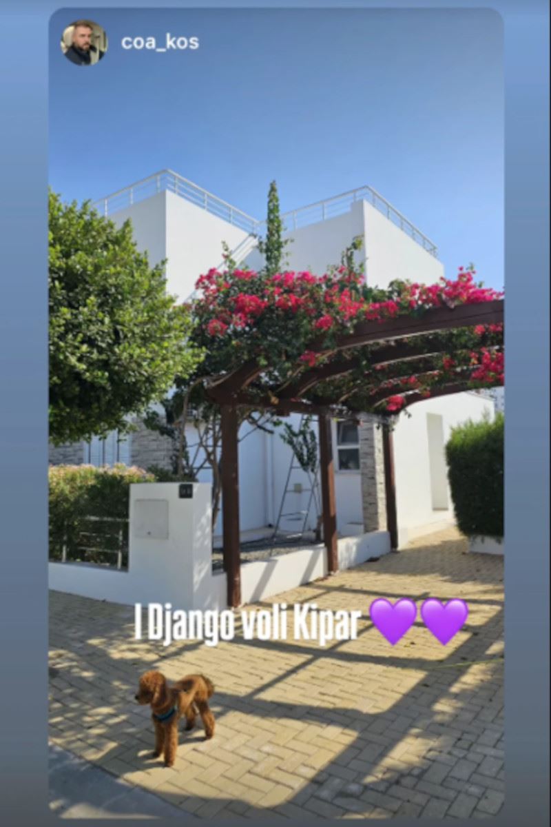 Čeda Jovanović  Aca Kos Kipar