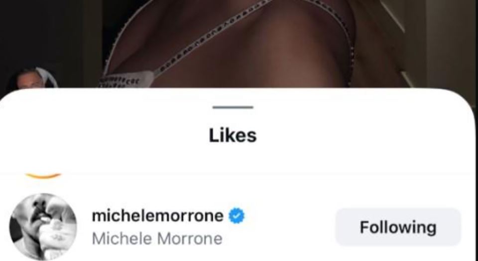 Breskvica objave Mikele Morone (1).jpg