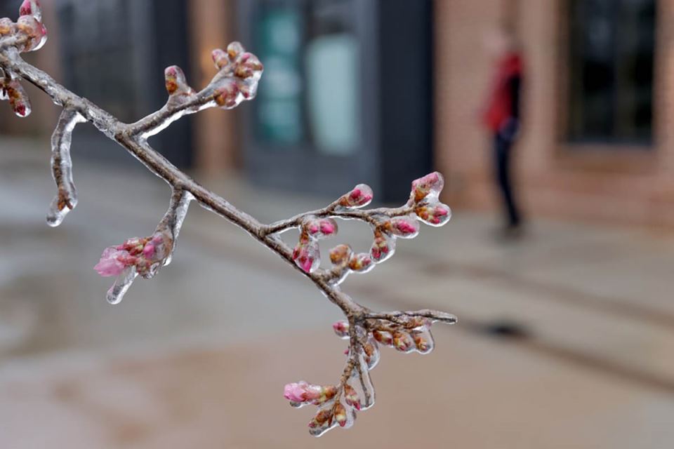 Snežna oluja u Americi (1).jpg