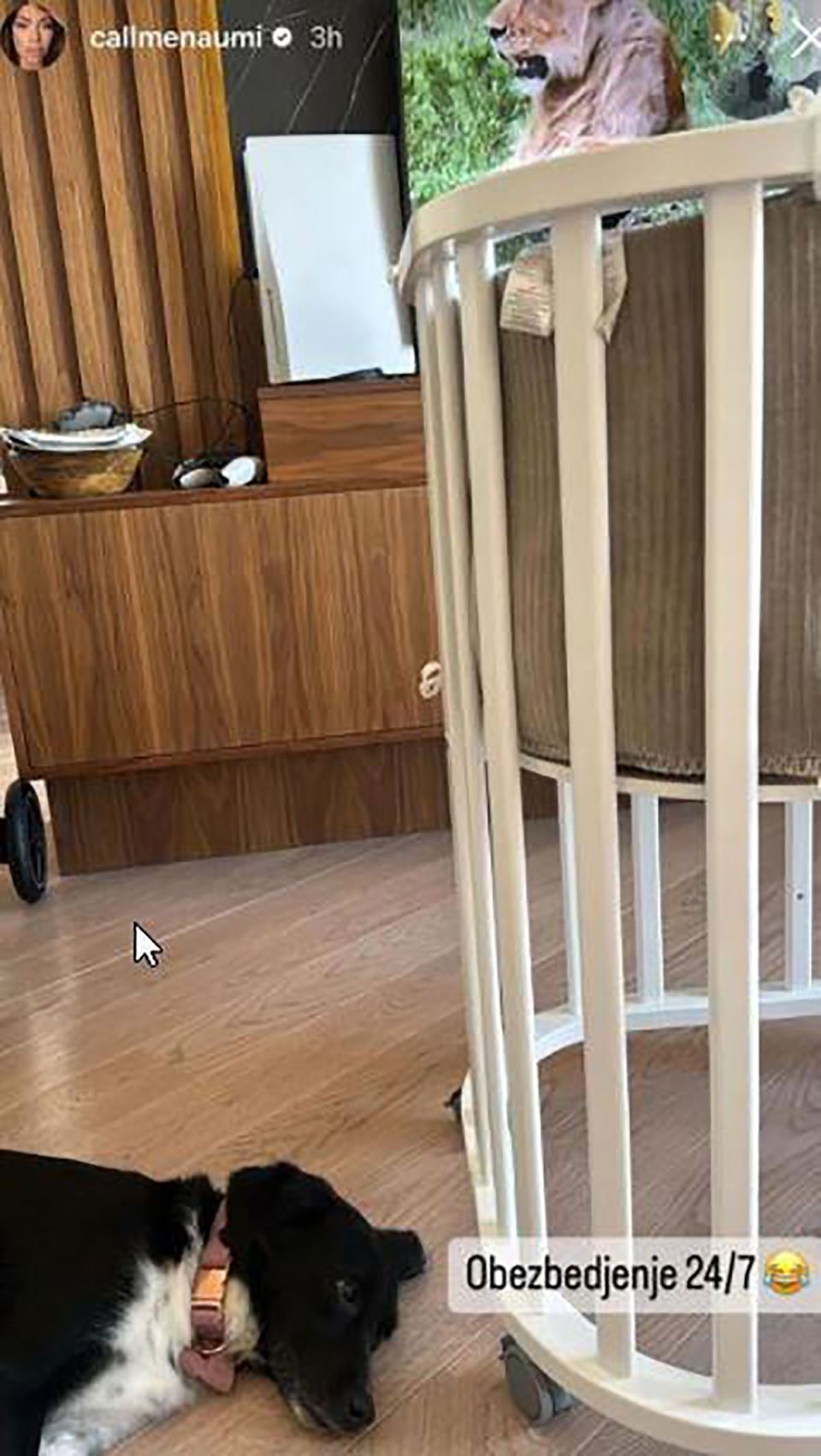 Dom Mine i Ognjena Amidžića (1).jpg