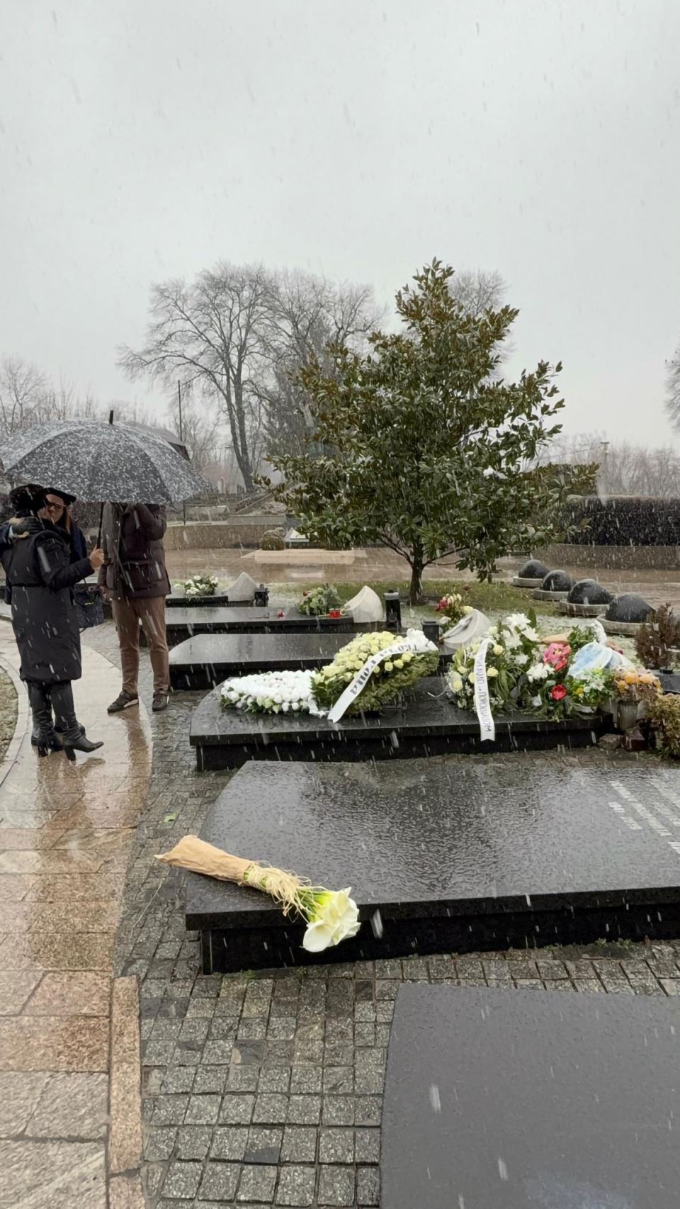 Šaban Šaulić pomen 1.jpg