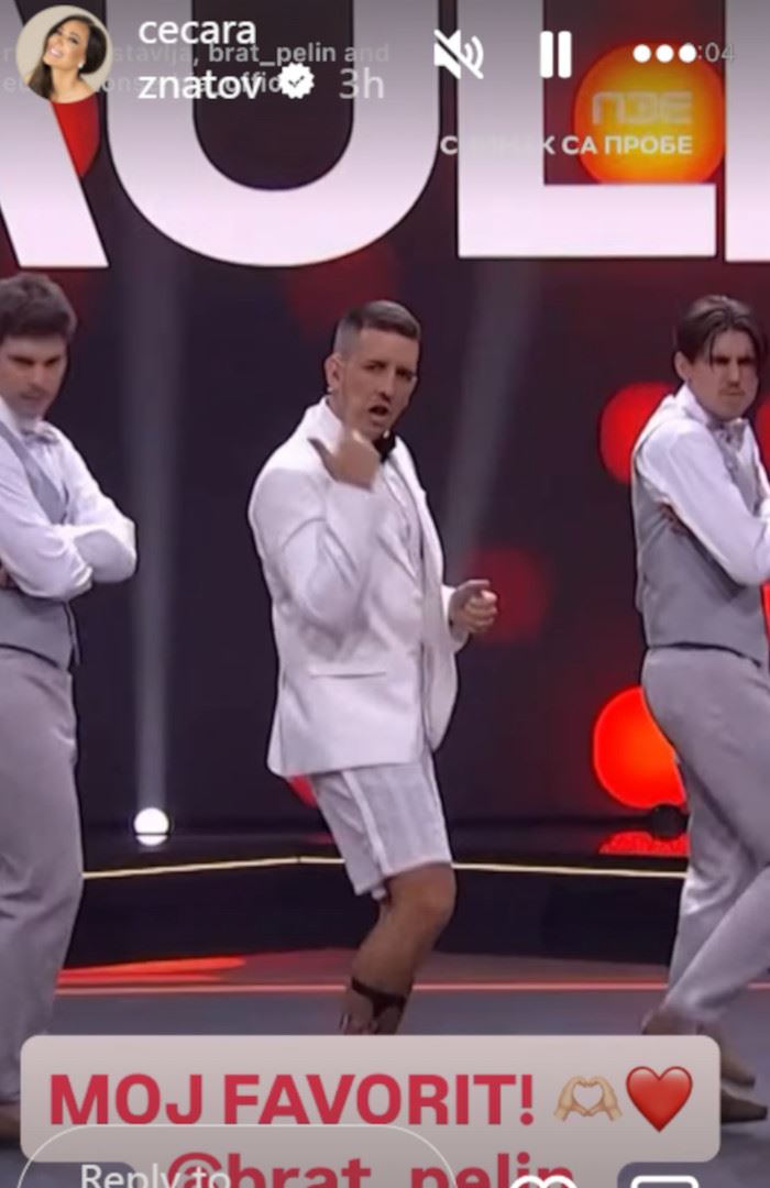 Ceca Ražnatović PZE Brat Pelin