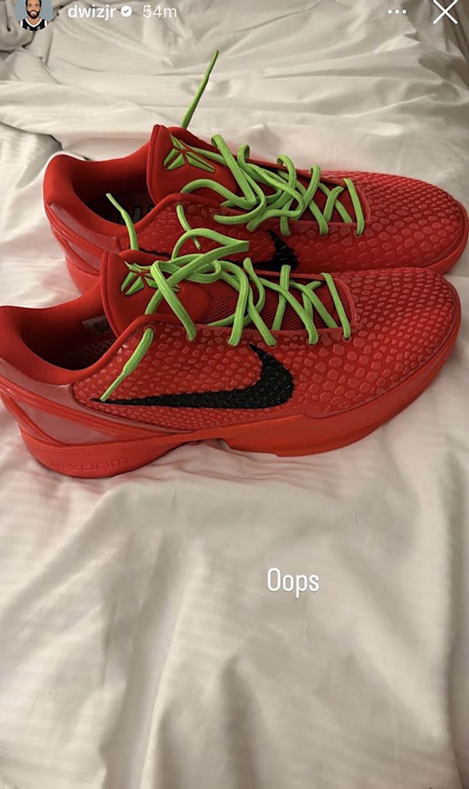 Patike Dvejna Vašingtona (2) copy.jpg