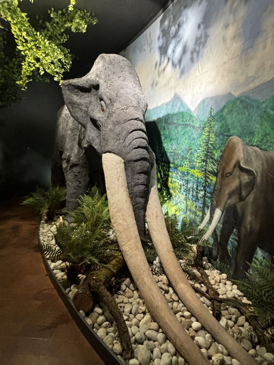 Afrički muzej Velenje