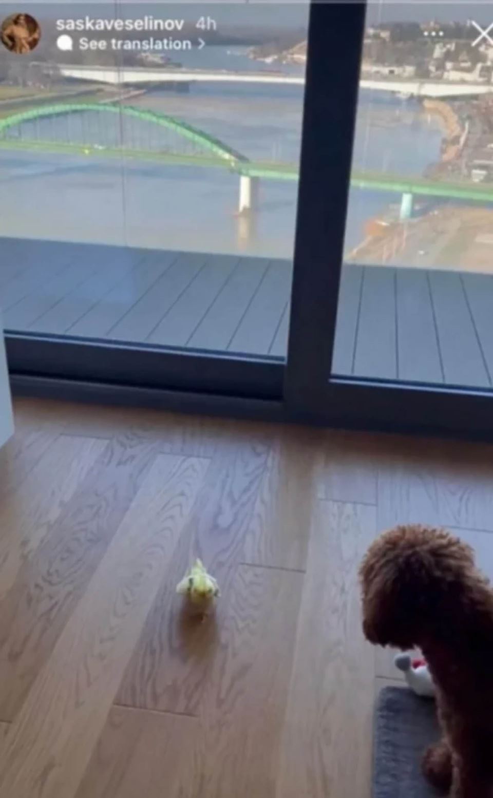 Đorđe Đoković stan (1) copy.jpg