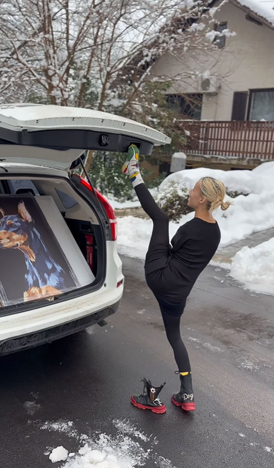 Devojka sa krilima  (7).jpg