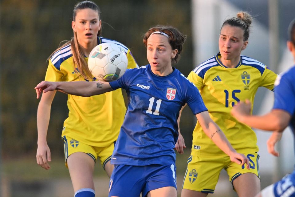 Srbija - Švedska (1).jpg