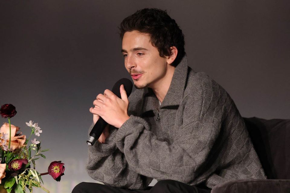 Timoti Šalame (2).jpg