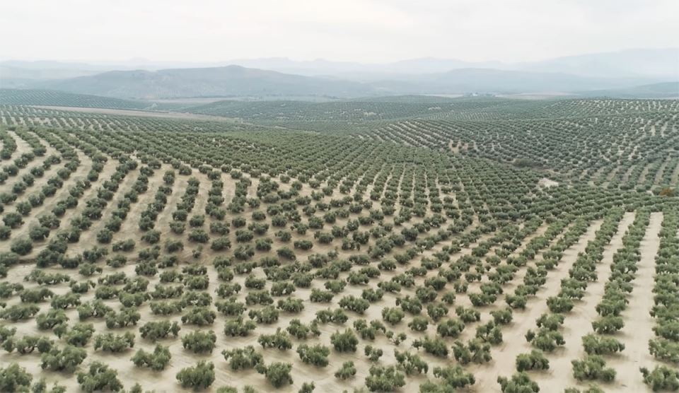 Pustinja Taklamakan (2).jpg