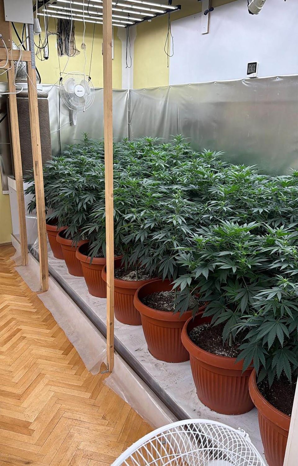 Neovlašćena proizvodnja i stavljanje u promet opojnih droga (2).jpg