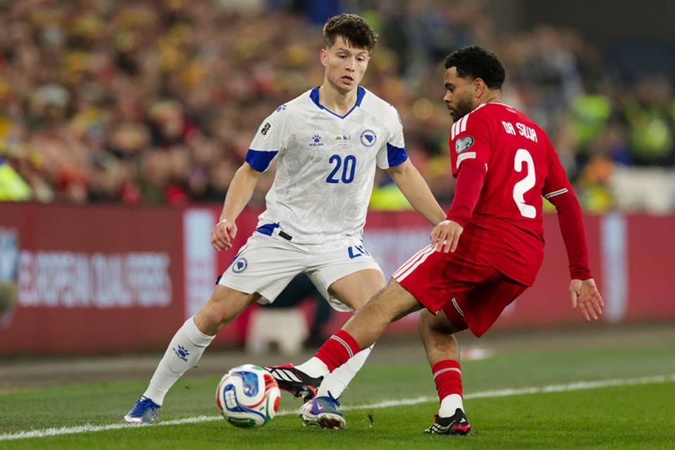 Vels - Bosna i Hercegovina