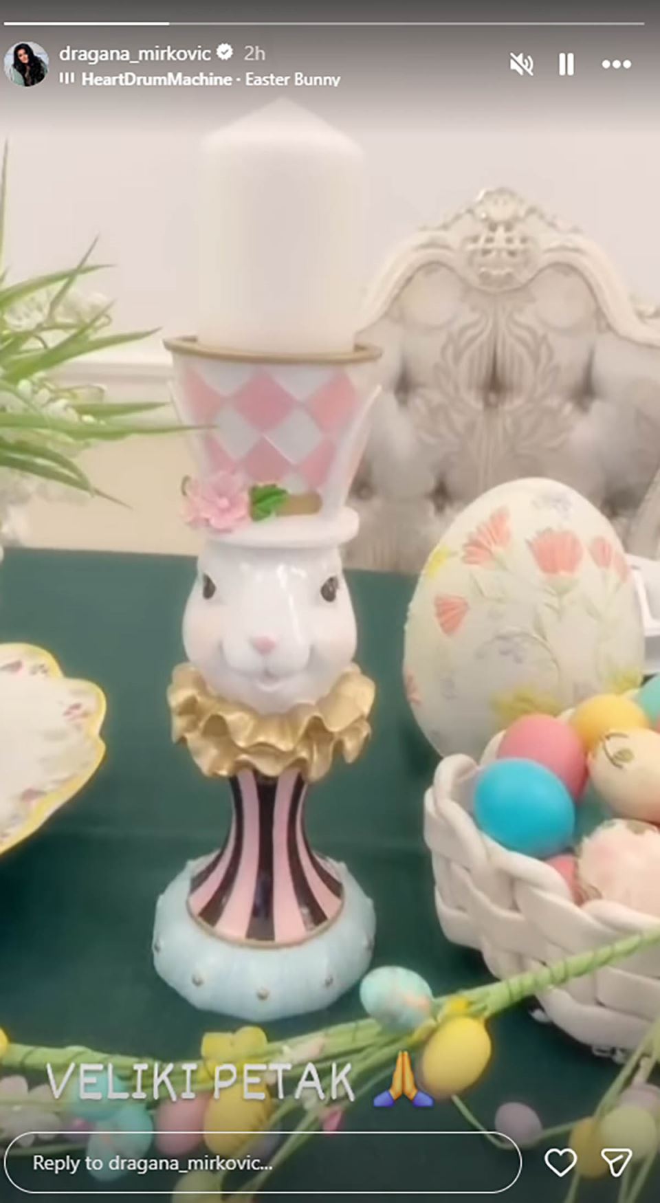 Dragana Mirković (4).jpg