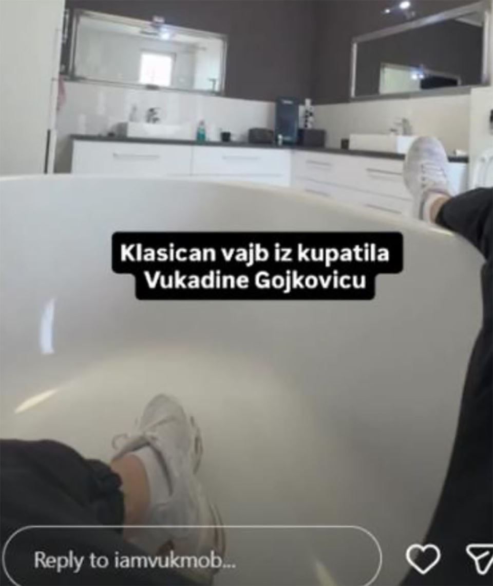 Vuk Mob kuća (5).jpg