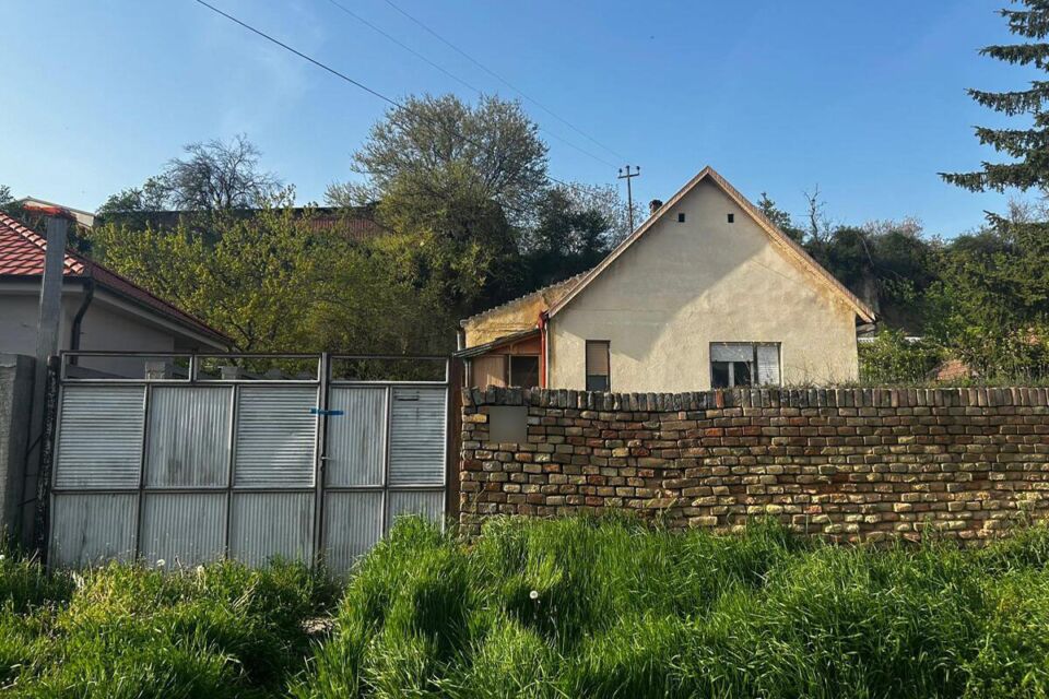 Požar u Titelu (1).jpg