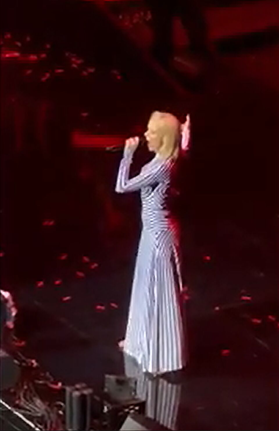 Jelena Rozga na koncertu Jakova Jozinovića (1).png