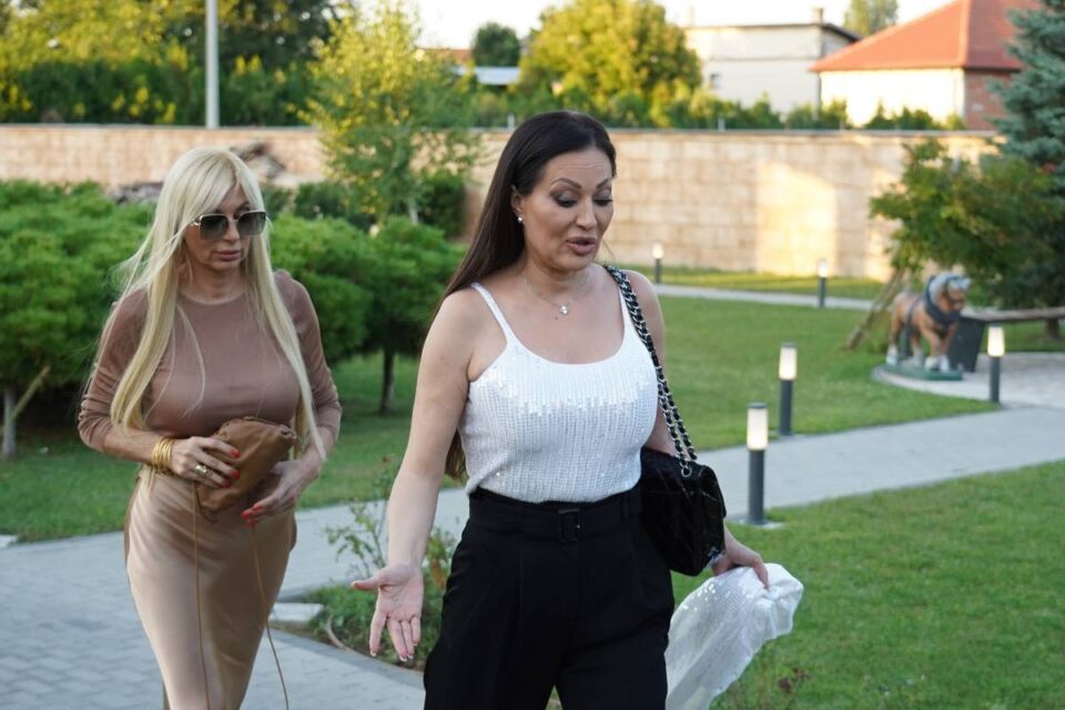 Lidija Ocokoljić Ceca Ražnatović