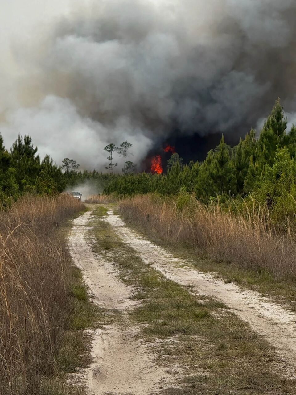 Požar na jugoistoku Džordžije (6).jpg