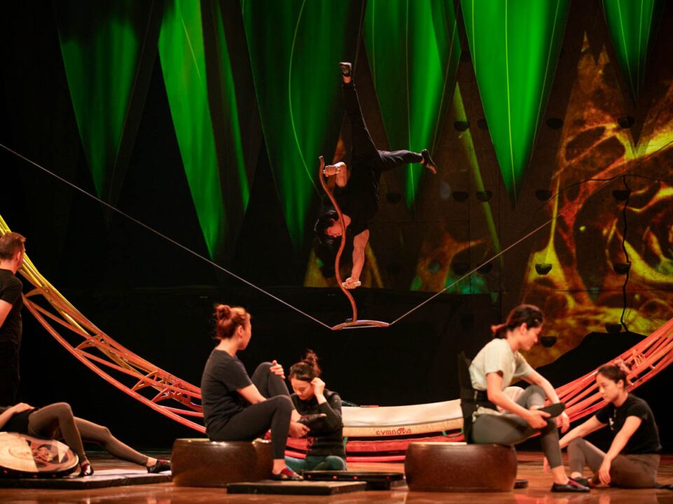 cirque_du_soleil_stefan_stojanović_ (49).jpg