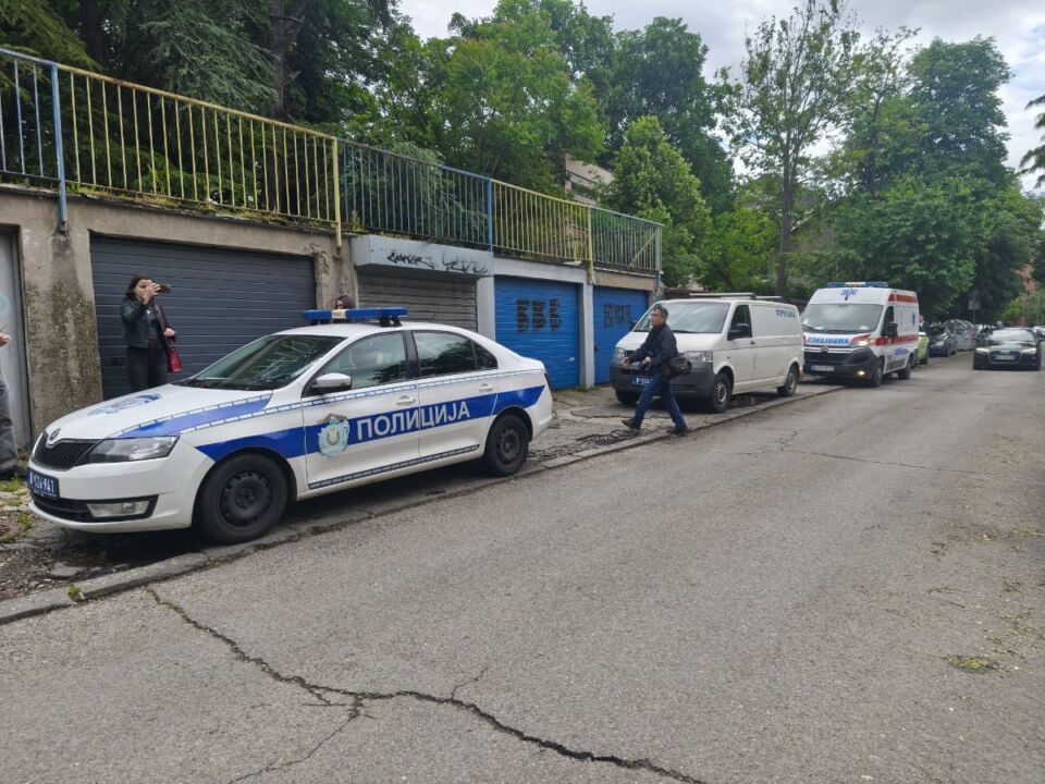 Ubistvo Nikolaja Gogolja Banovo brdo (1).jpg