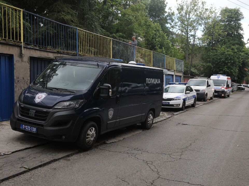 Ubistvo Nikolaja Gogolja Banovo brdo (15).jpg