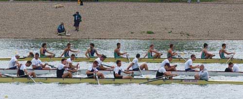 Najbolji evropski veslači u Beogradu