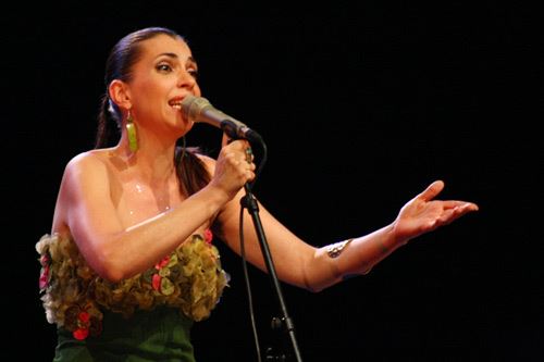 Summertime festival 2008