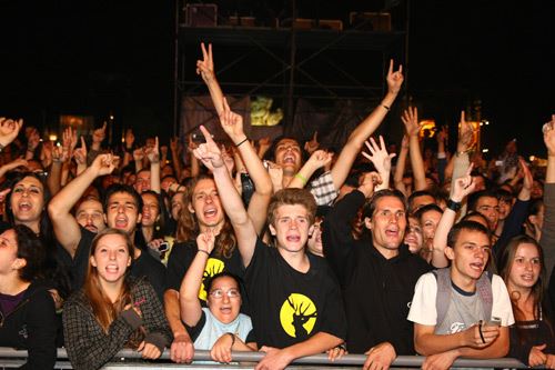 Beer Fest - Van Gogh