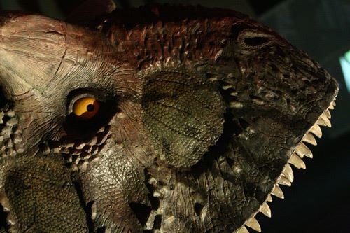 Džinovi Patagonije u Beogradu