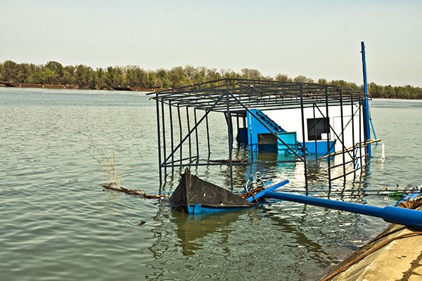 Dunav i Sava se spremaju za leto