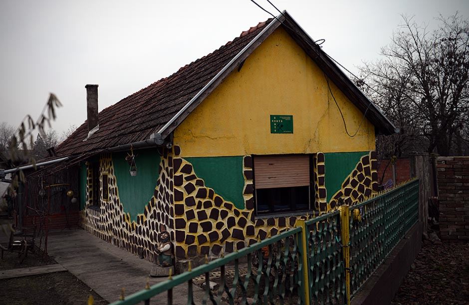 I u Vojvodini "žive" žirafe