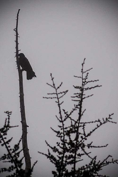 Prognoza: Sutra ujutru magla, tokom dana sunčano, do 18 stepeni