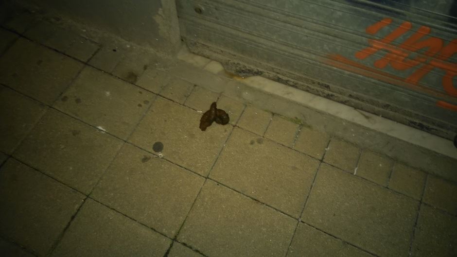 pseći izmet pseća govna mural u beogradu