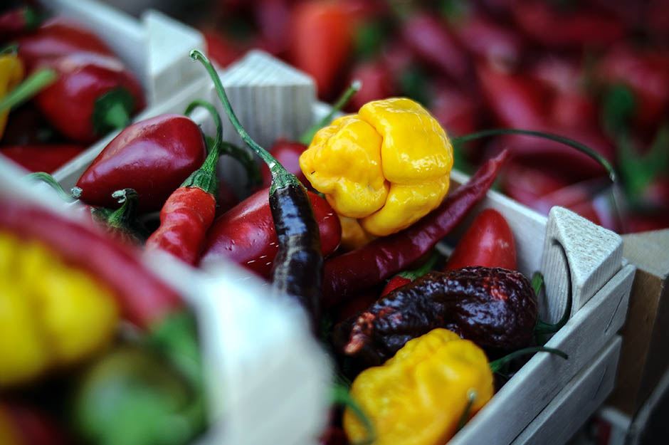 Fish fest 2016 - Riblja čorba u loncu od 100l i ljute papričice