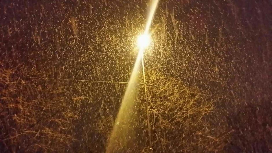 Crna Gora - Sneg na primorju veliko iznenađenje