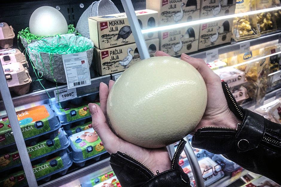 Uskršnja jaja: Najveće jaje noja i emua u prodaji (FOTO)