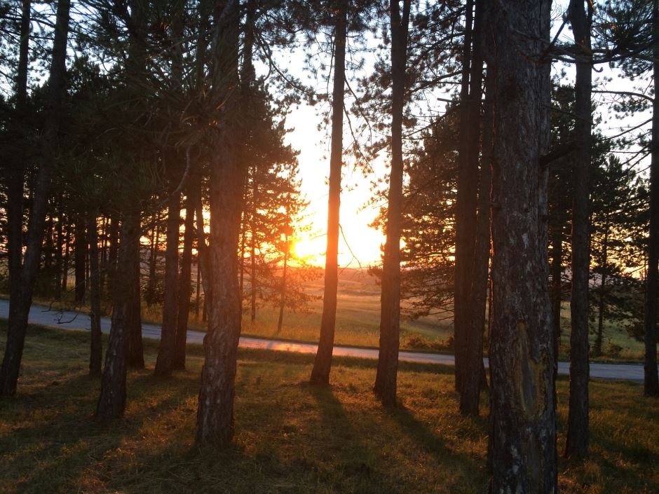 Kopaonik đubre na Kopaoniku