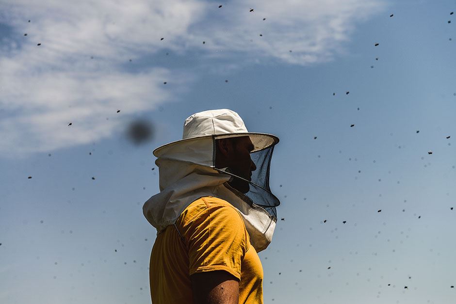 Selo - pčelarstvo - posao na selu - dobra zarada