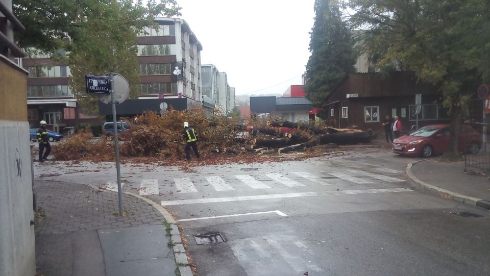 Drvo se srušilo u centru Banjaluke
