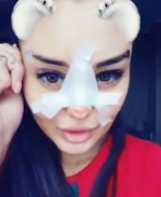 Zadruga Ana Korać u rijalitiju Zadruga na Pinku