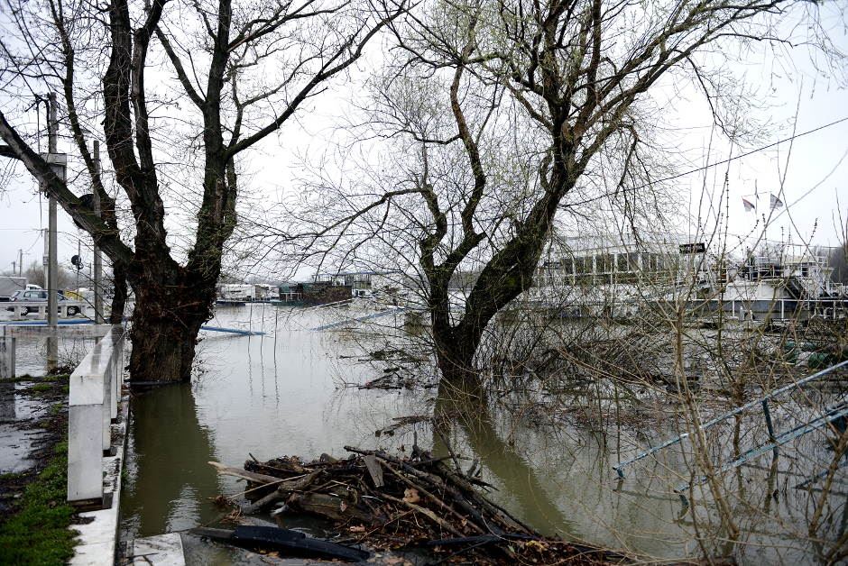 Beograd Nema opasnosti od poplava, kaže Mali