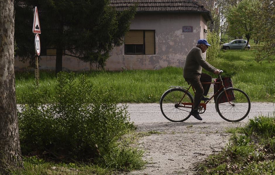 Ivanovo selo u Pančevu: Foto-safari 2018 FOTO