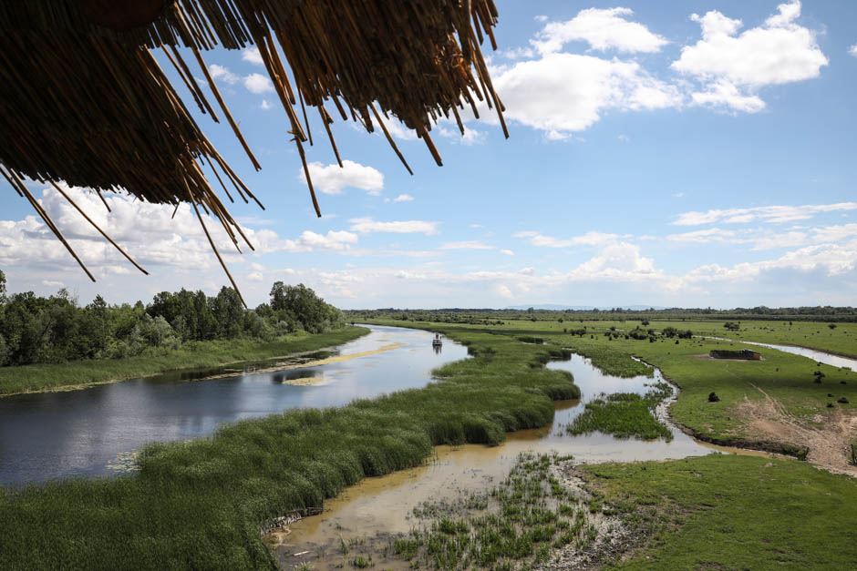 Zasavica - specijalni rezervat prirode - magareće mleko