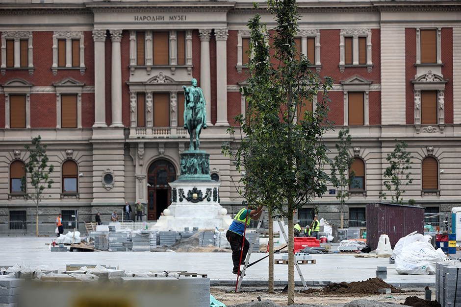 Trg Republike zasađeno drveće (FOTO)